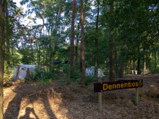 dennenbos